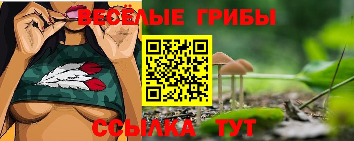 Псилоцибиновые грибы Psilocybine cubensis  где купить наркоту  Вход с VPN  Александров  Псилоцибиновые грибы MAGIC MUSHROOMS 